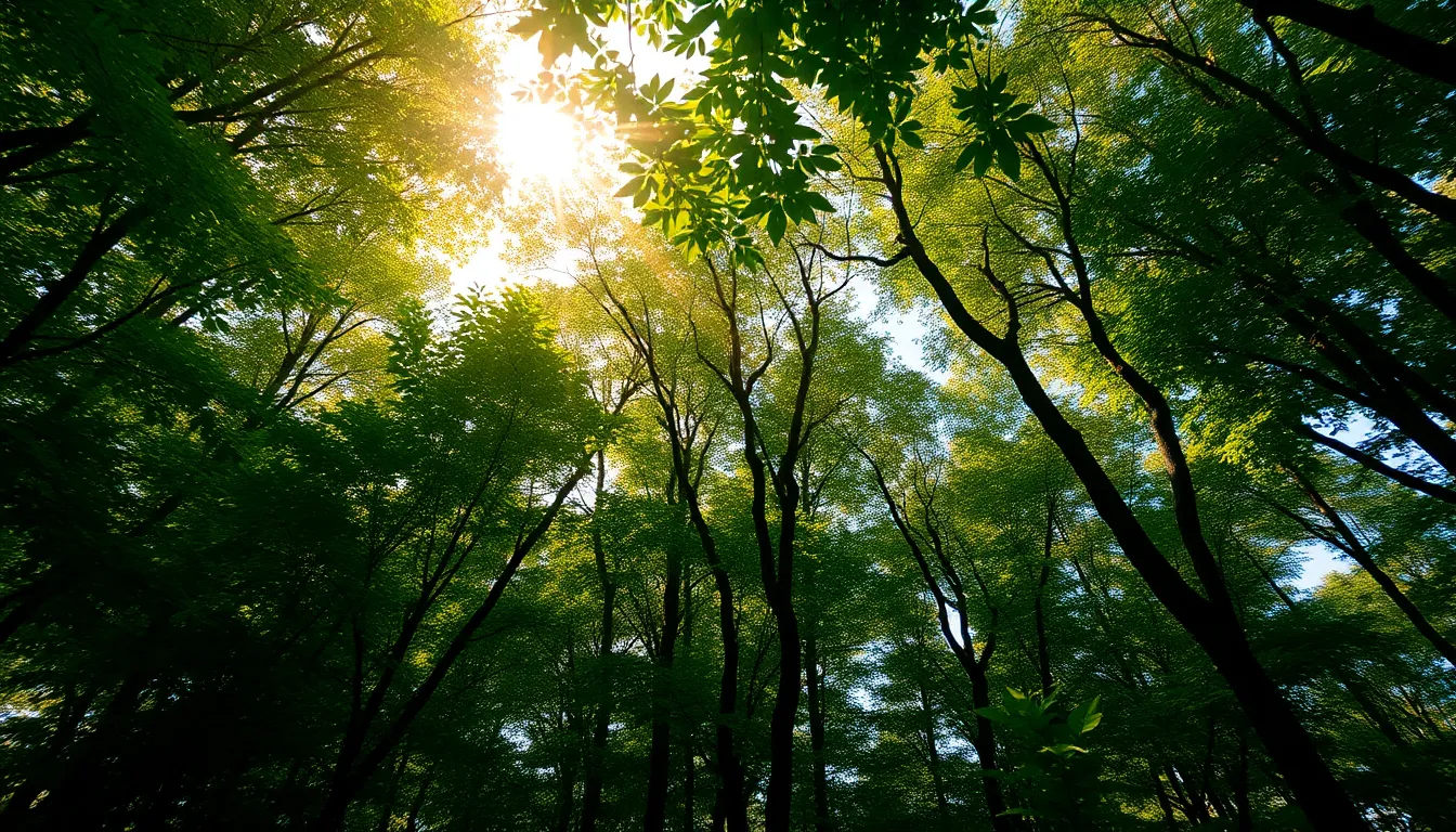 ESG 경영 이미지